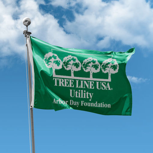 Picture of Tree Line USA Flag