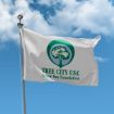 Picture of Tree City USA Flag