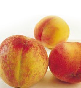 Belle of Georgia Peach