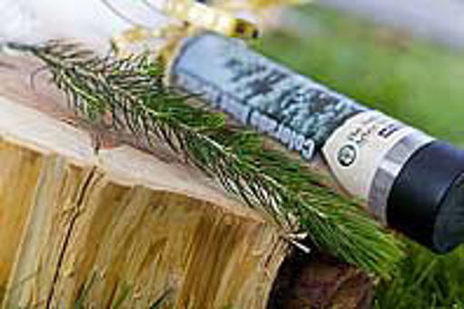 Picture of Individually Mailed Gift Trees