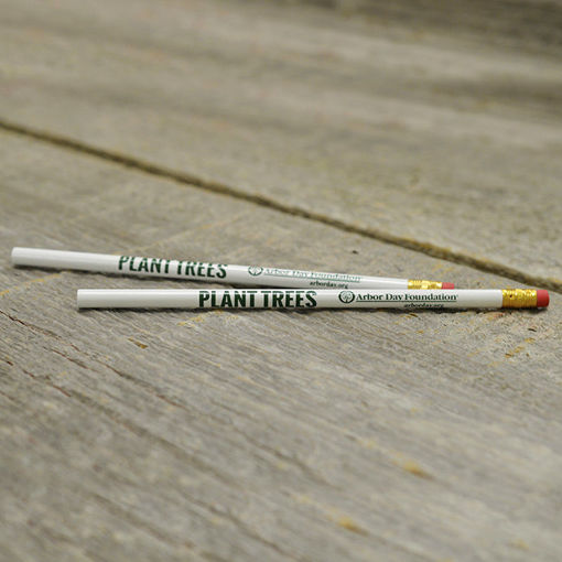 Picture of Plant Trees Pencils (50 Pack)
