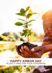Picture of Plant A Tree for Tomorrow