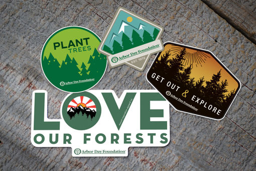 Picture of 4-Pack Love Our Forests Sticker Set