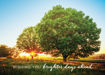 Picture of Wishing You Brighter Days