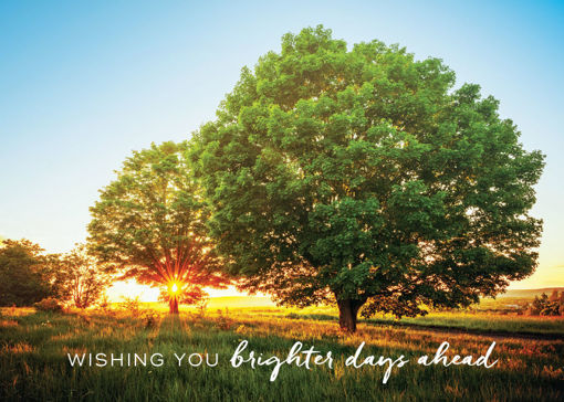Picture of Wishing You Brighter Days