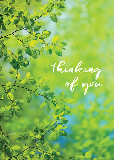 Picture of Thinking of You-Green Leaves