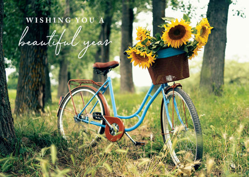 Picture of Beautiful Year-Bicycle
