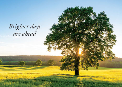 Picture of Brighter Days Are Ahead