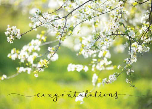 Picture of Congratulations-Flowering Tree