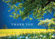 Picture of Springtime Thank You