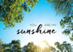 Picture of You Are My Sunshine