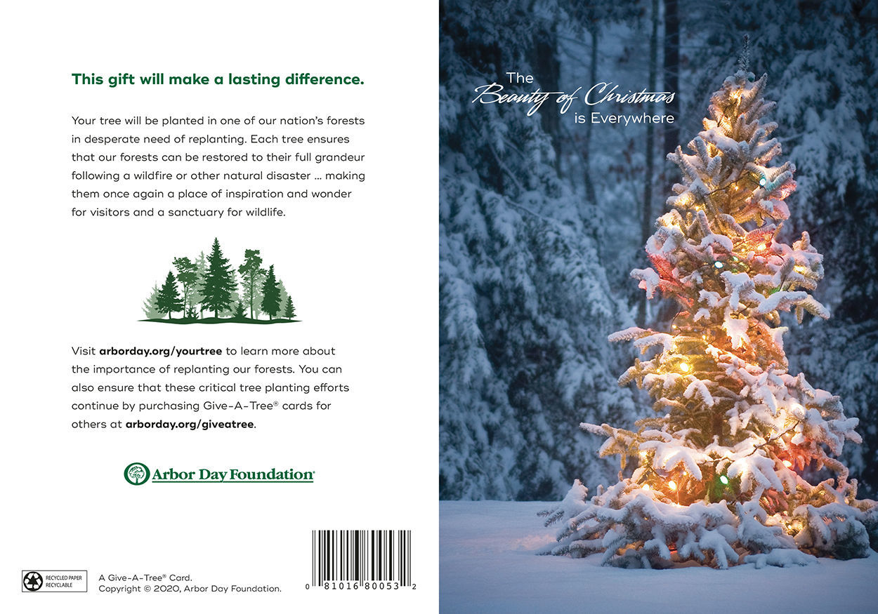 Beauty of Christmas Give-A-Tree Card. Every Cart Plants A Tree