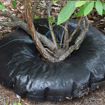 Picture of 18 Inch Tree Diaper