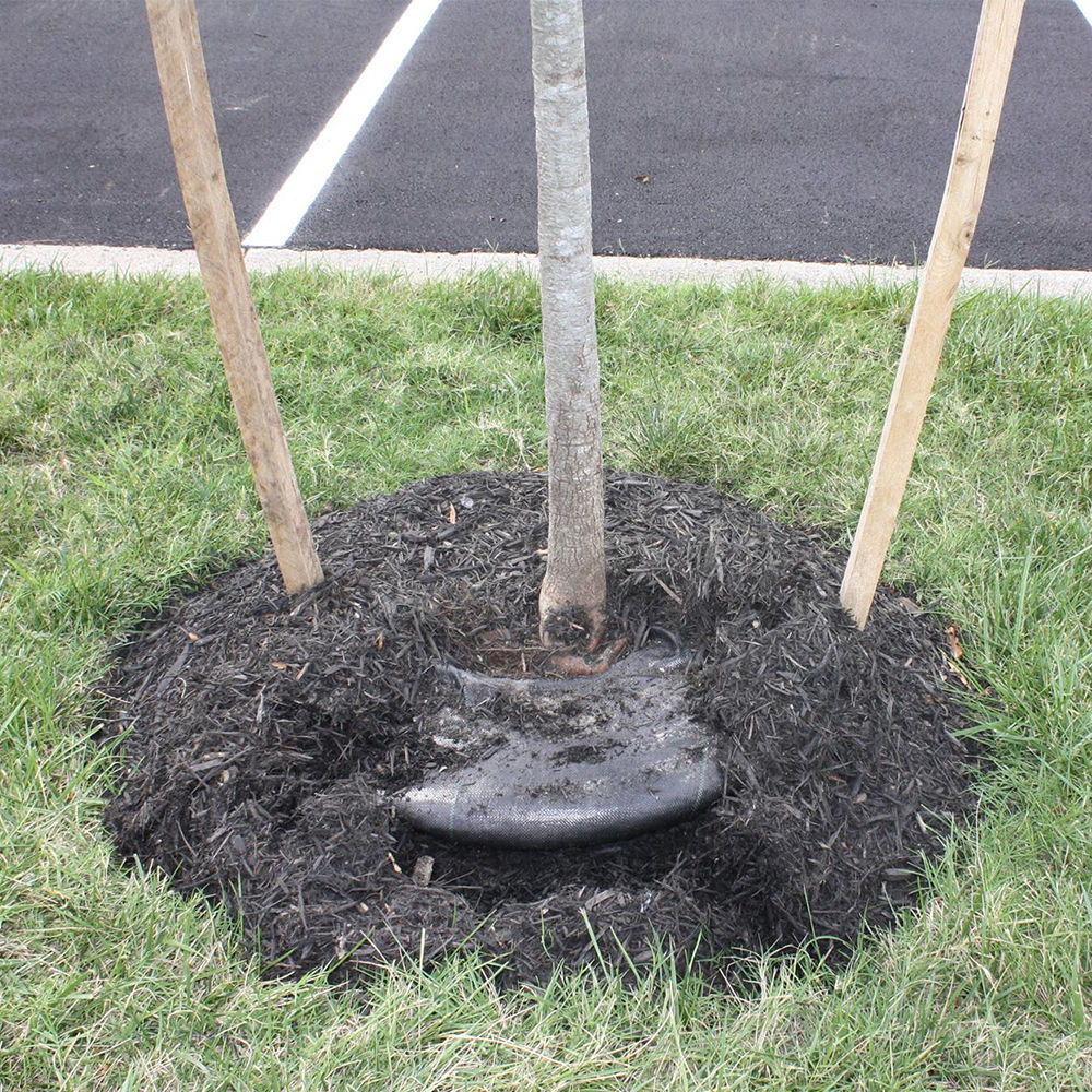 36 Inch Tree Diaper - Arbor Day Foundation