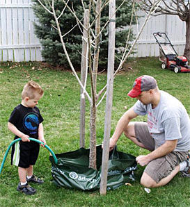 Tree Water Collection Tube System Tree Care - Ooze Tube Watering System, 15 Gallons - Arbor Day Foundation