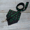 Picture of Leash and Bandana Set
