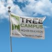 Picture of Tree Campus Flag