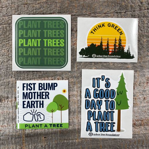 Picture of Plant Trees Vinyl Sticker Pack