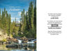 Picture of Umpqua National Forest: Trees in Memory Card