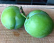 Picture of Green Gage Plum