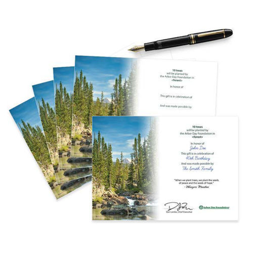 Picture of Trees in Celebration Blank Honoree Certificates-5 Pack