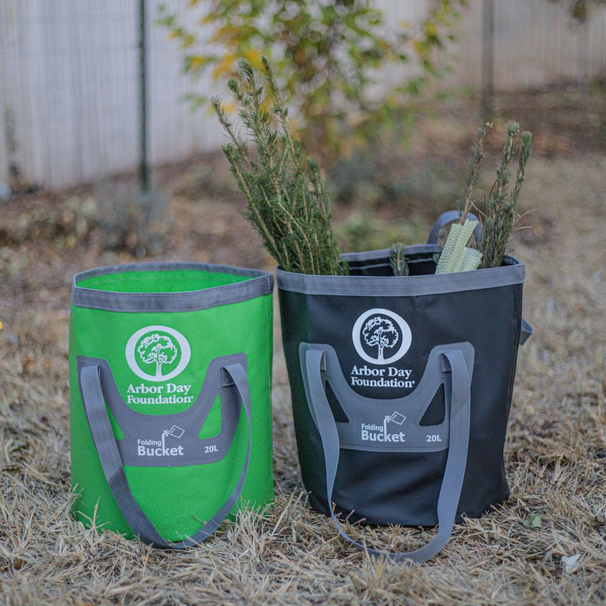 Foldable Bucket for Sale at Arbor Day's Online Tree Nursery - Arbor Day  Foundation
