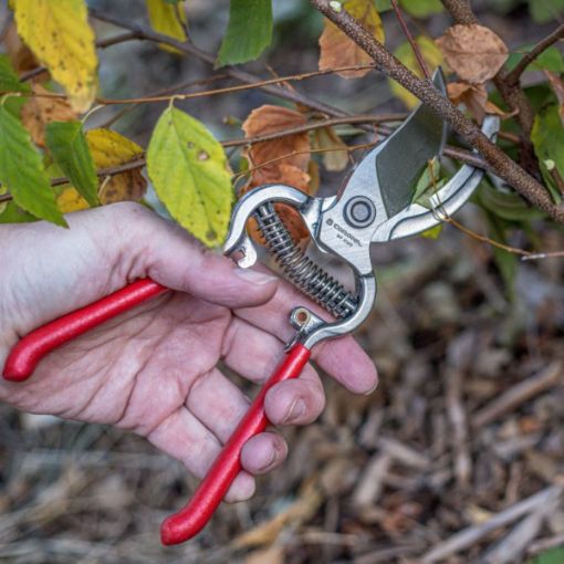 Picture of Corona ClassicCUT® Bypass Pruner - 3/4 Inch