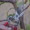 Picture of Corona ClassicCUT® Bypass Pruner - 3/4 Inch