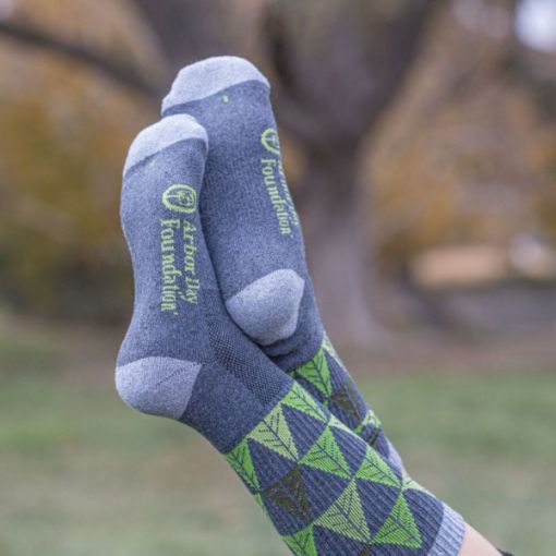Picture of Plant Trees Socks