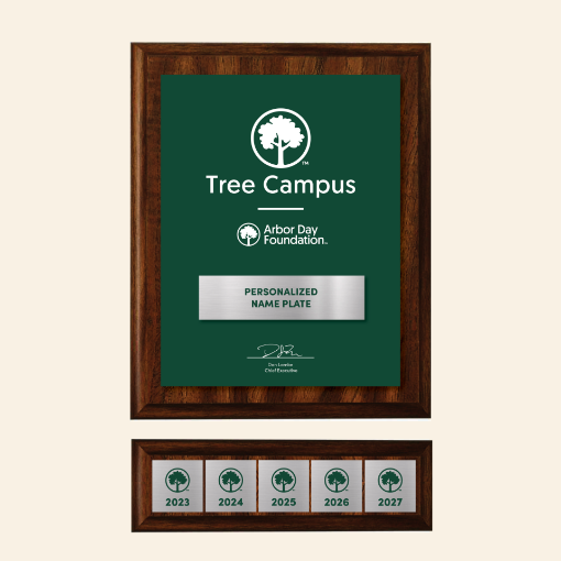 Picture of Tree Campus Plaque Addition