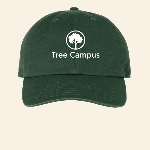 Picture of Tree Campus Hat