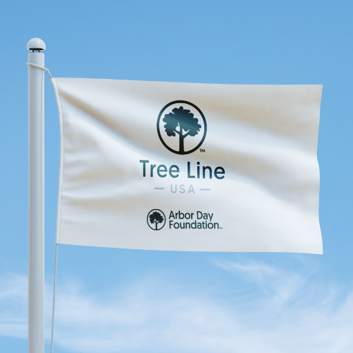 Picture of Tree Line USA Flag