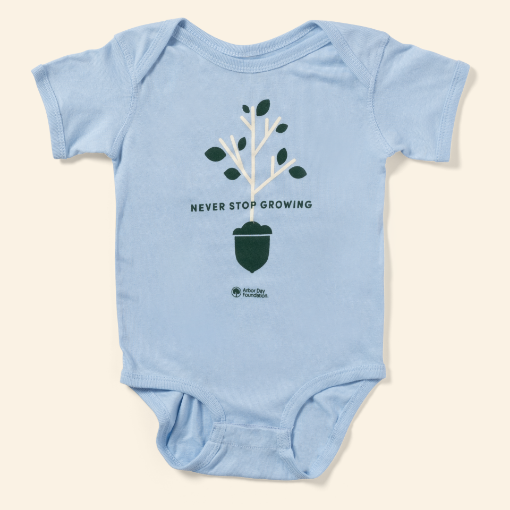 Picture of Never Stop Growing Onesie