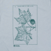 Picture of Buttonwood Tree Leaves T-Shirt