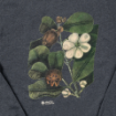 Picture of Pitch Apple Floral Crew Sweatshirt