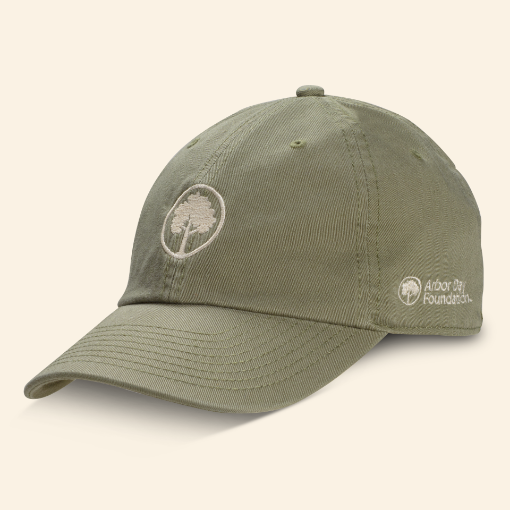 Picture of Arbor Day Embroidered Hat