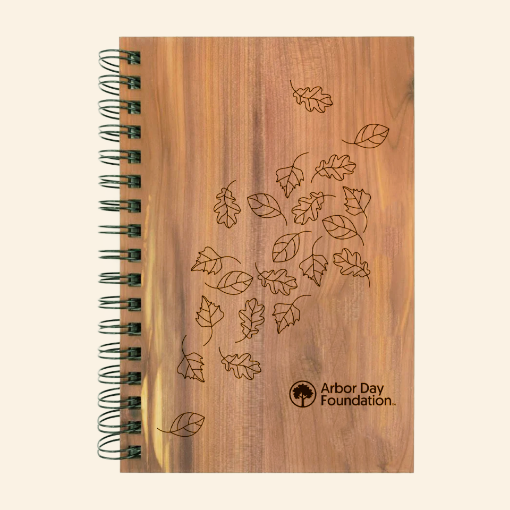 Picture of Seasonal Leaves Spiral Wood Journal 