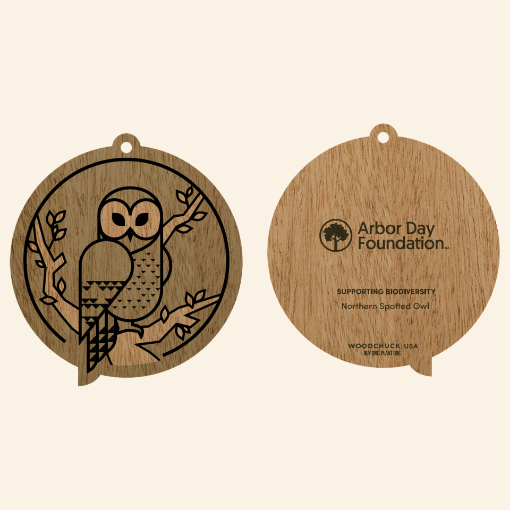 Picture of Northern Spotted Owl Ornament