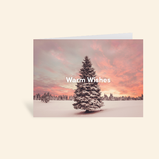 Picture of Warm Wishes