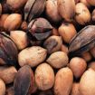 Picture of Pecan