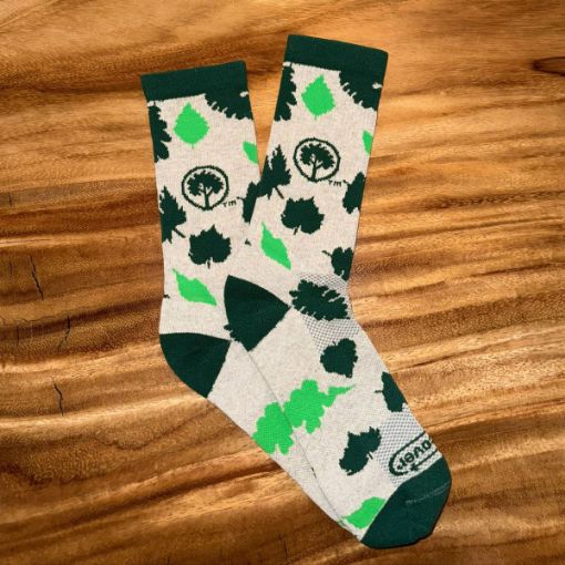 Picture of Leaves of Comfort Socks