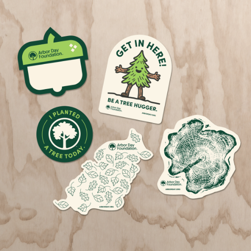 Picture of Tree Hugger Sticker Pack