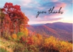 Picture of Give Thanks