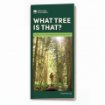 Picture of What Tree Is That