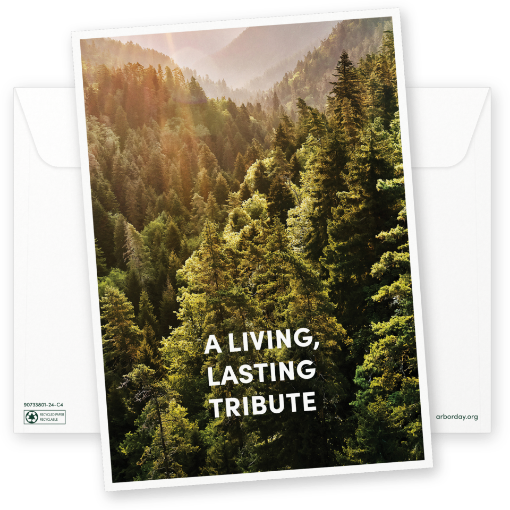 A Living Lasting Tribute